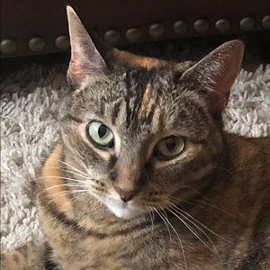 Meet your Posher, Austin